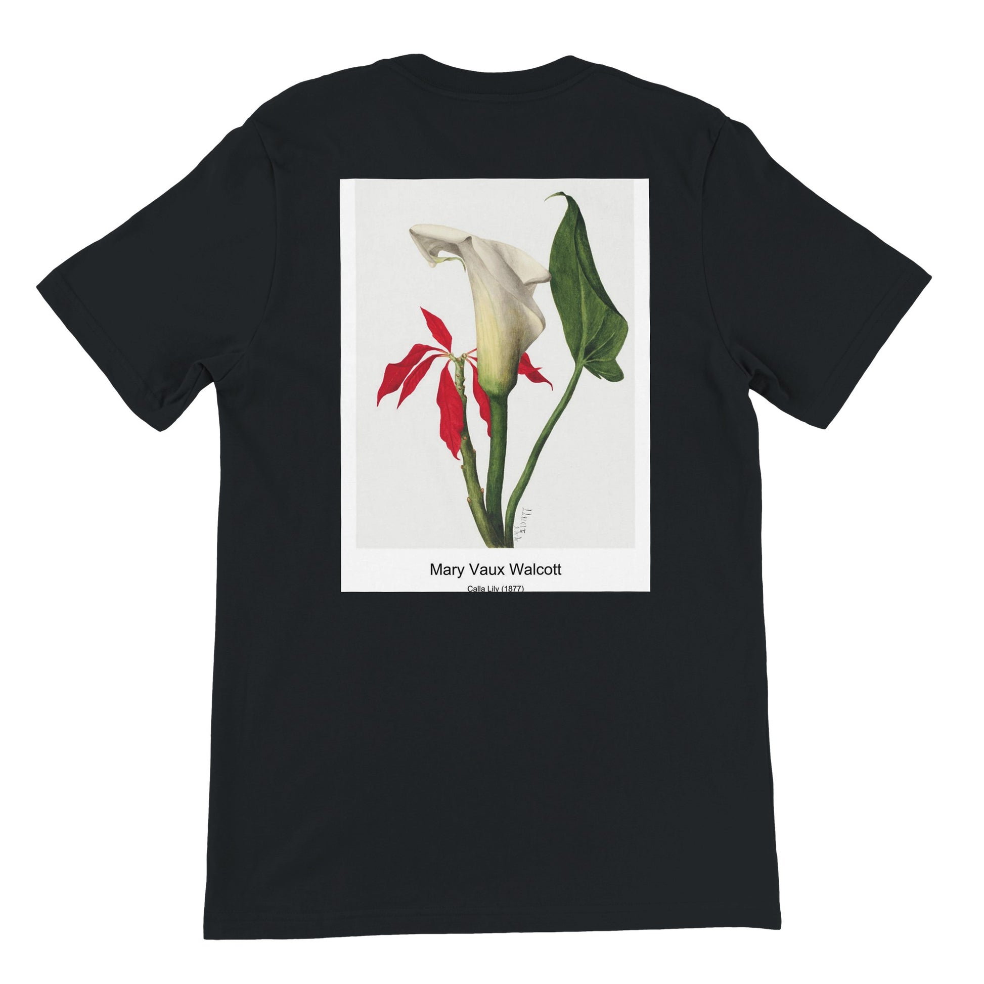 385686ce-3dae-4588-81b6-a7c3089722c7