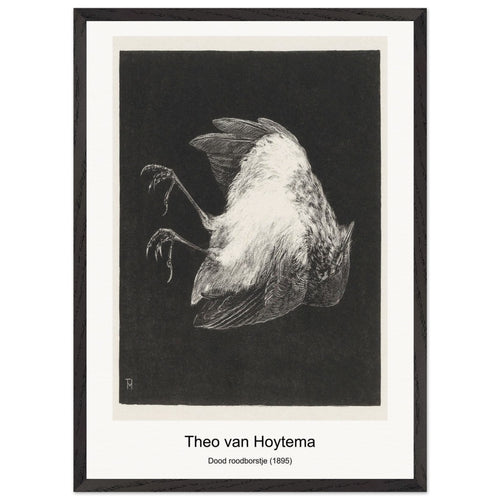 Birds of Australia (1972) by Elizabeth Gould. Archival Print on Museum Quality Matte Paper. Premium Wood Framed Wall Art. Optimised Aspect Ratio.