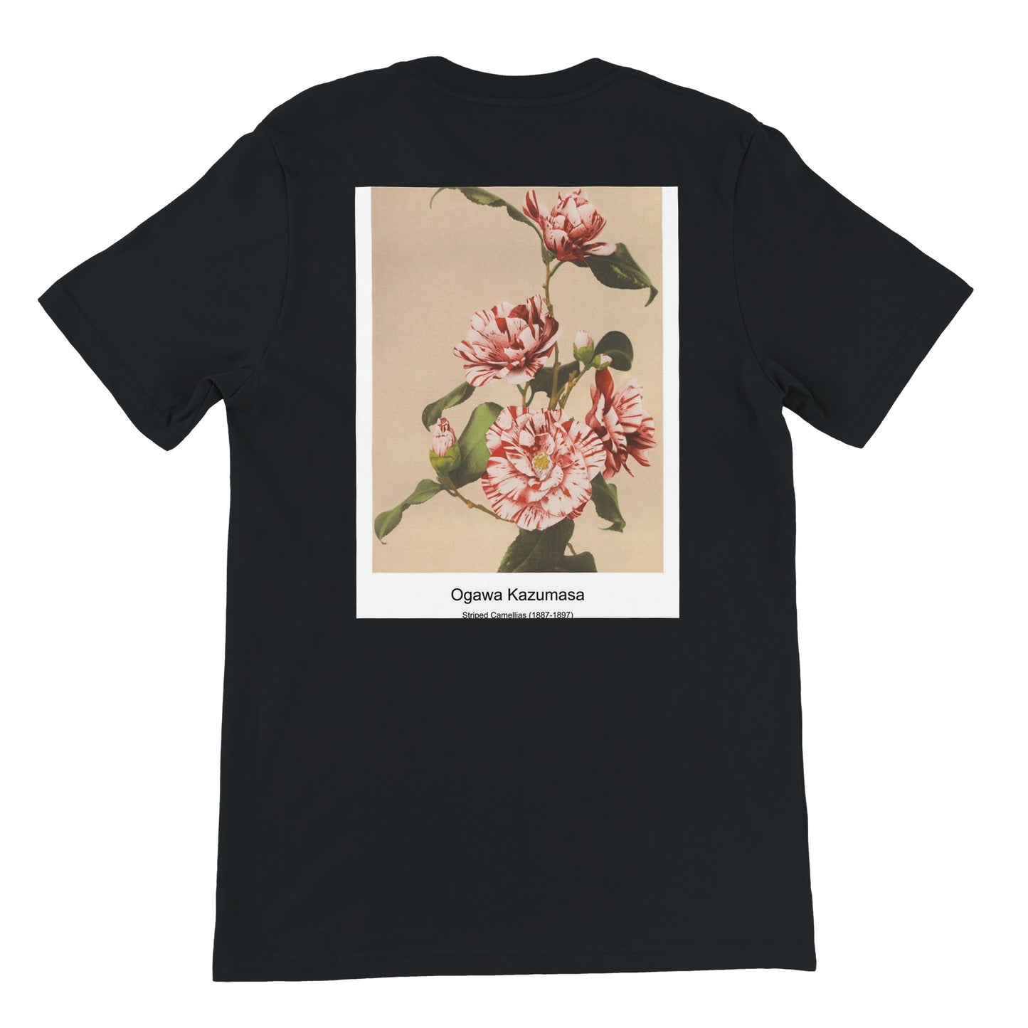 3903b833-afb8-4ec7-ab17-a5e076d025b5