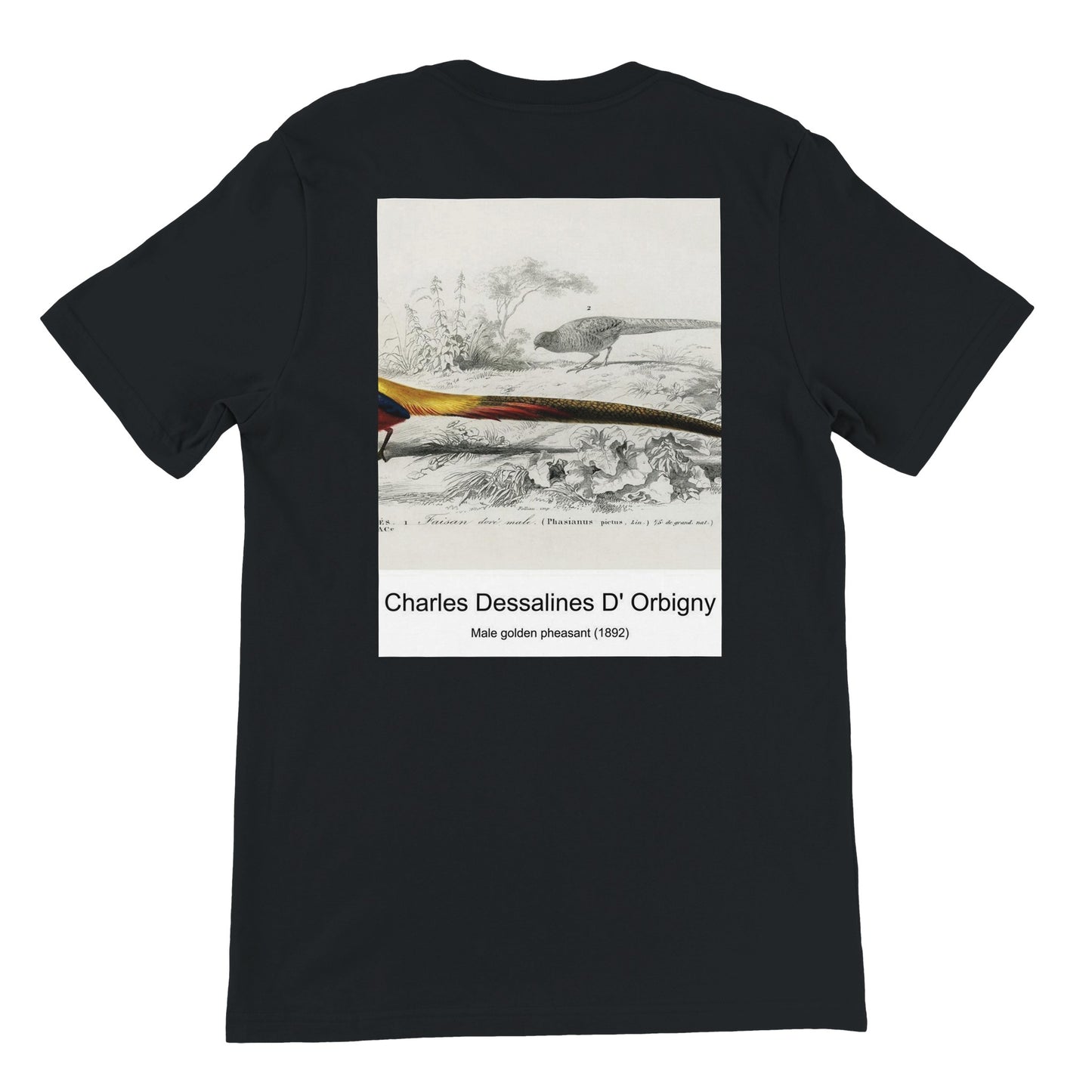 3943a2e6-fe3f-4c65-9b49-554a4b5389b9