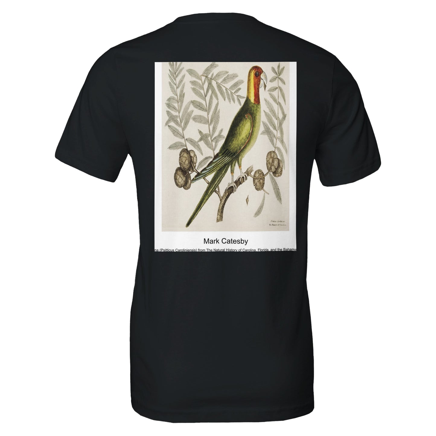 39dd1c51-6be6-4fcd-95ab-924fac1347f2