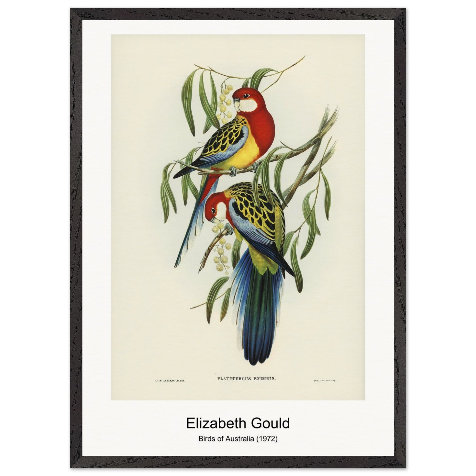 39fece6d-8419-4dc6-a907-c142c2d426b1