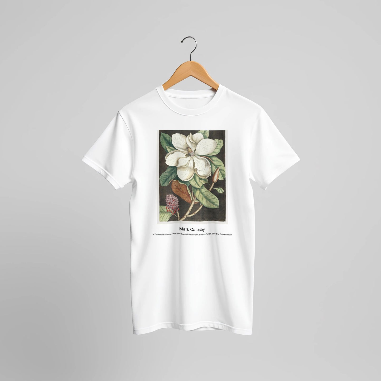 3a082e6d-ebe8-4dff-85b4-3b95c1543b56