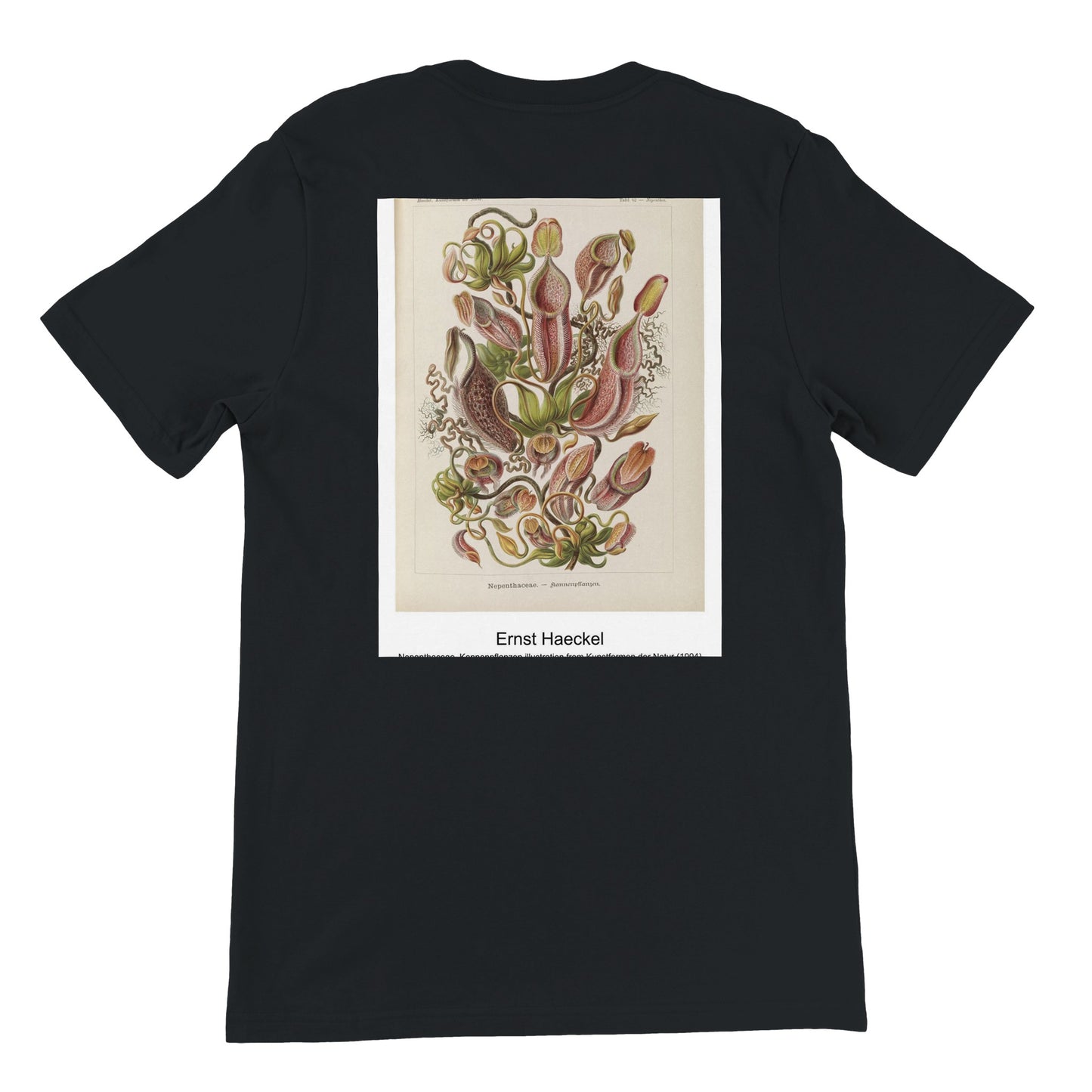 3a1ef764-715a-4ded-a2f9-621b4f0a5708