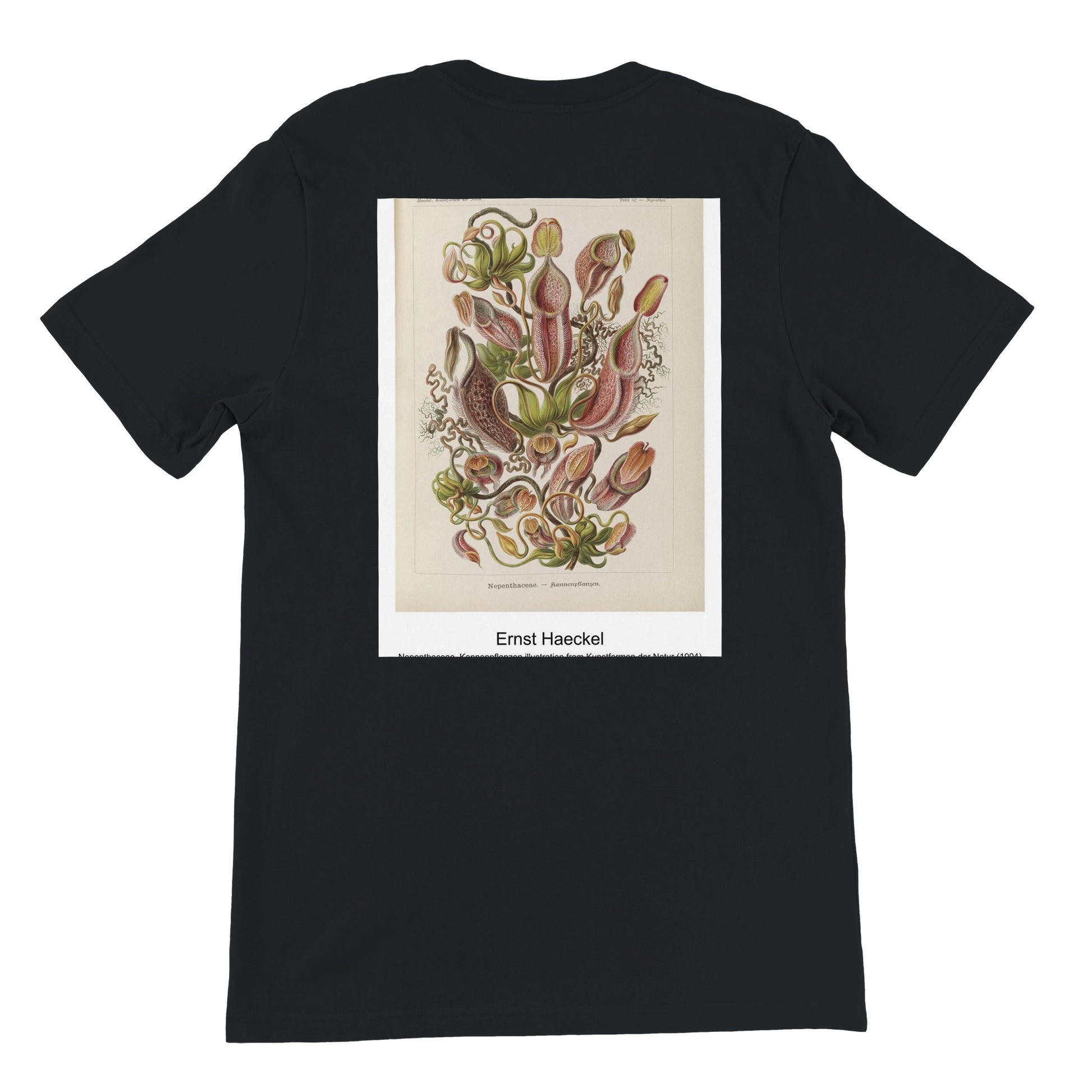 3a1ef764-715a-4ded-a2f9-621b4f0a5708