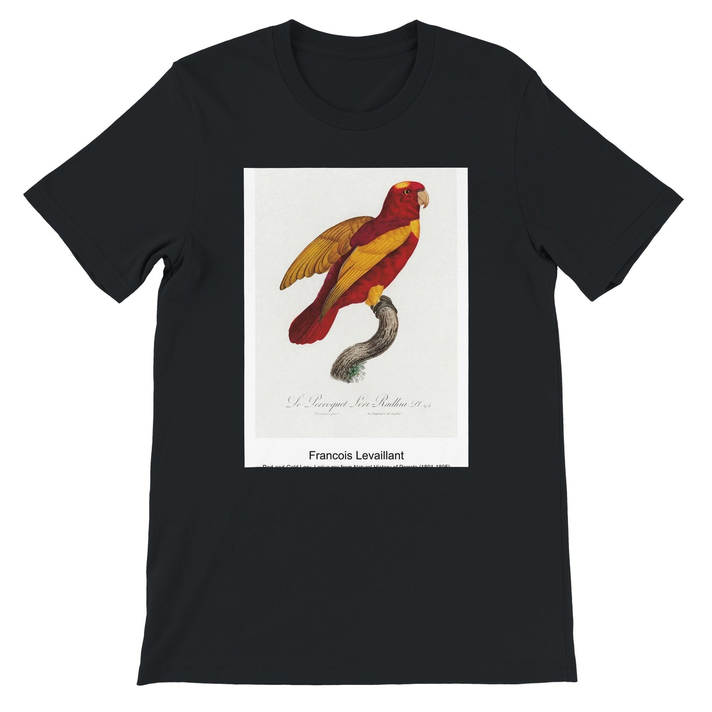 3b3394f8-4897-4c4c-868a-572e19bba839