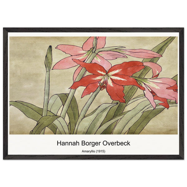 Amaryllis (1915) by Hannah Borger Overbeck. Archival Print on Museum Quality Matte Paper. Premium Wood Framed Wall Art. Optimised Aspect Ratio.