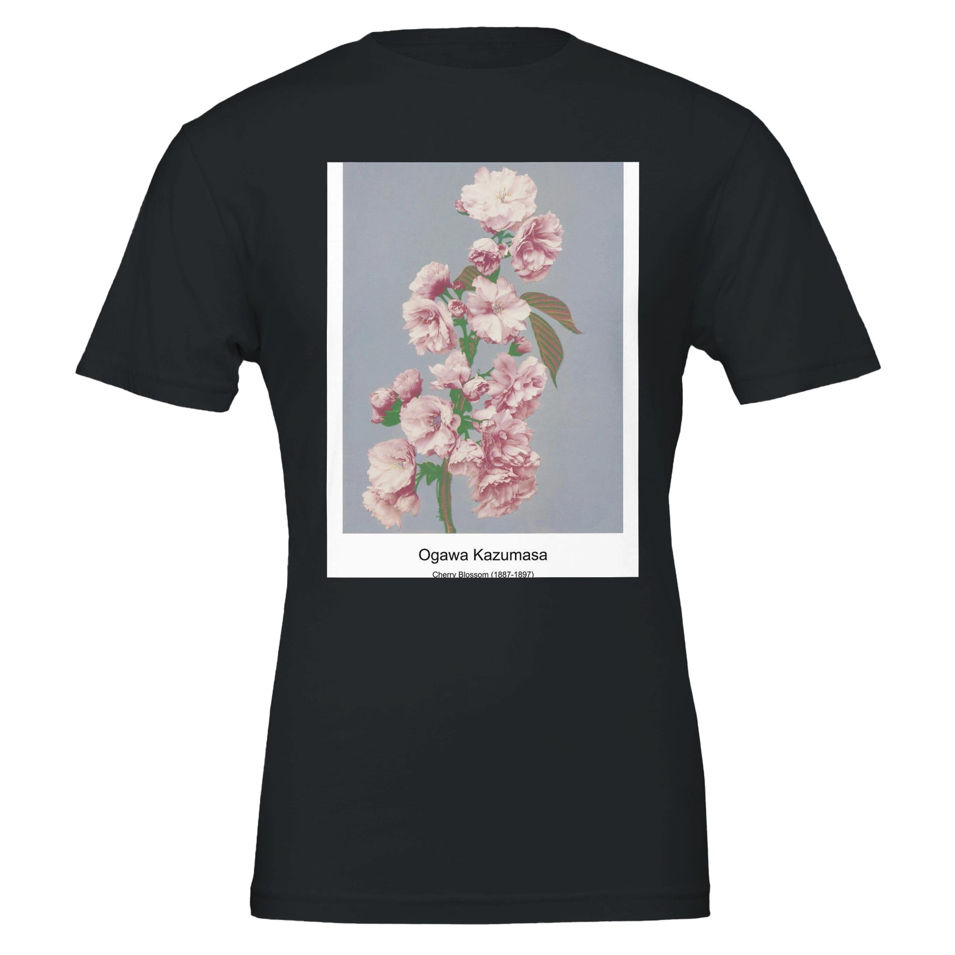 3d8310d1-c649-4647-ac6a-983869ef4edd