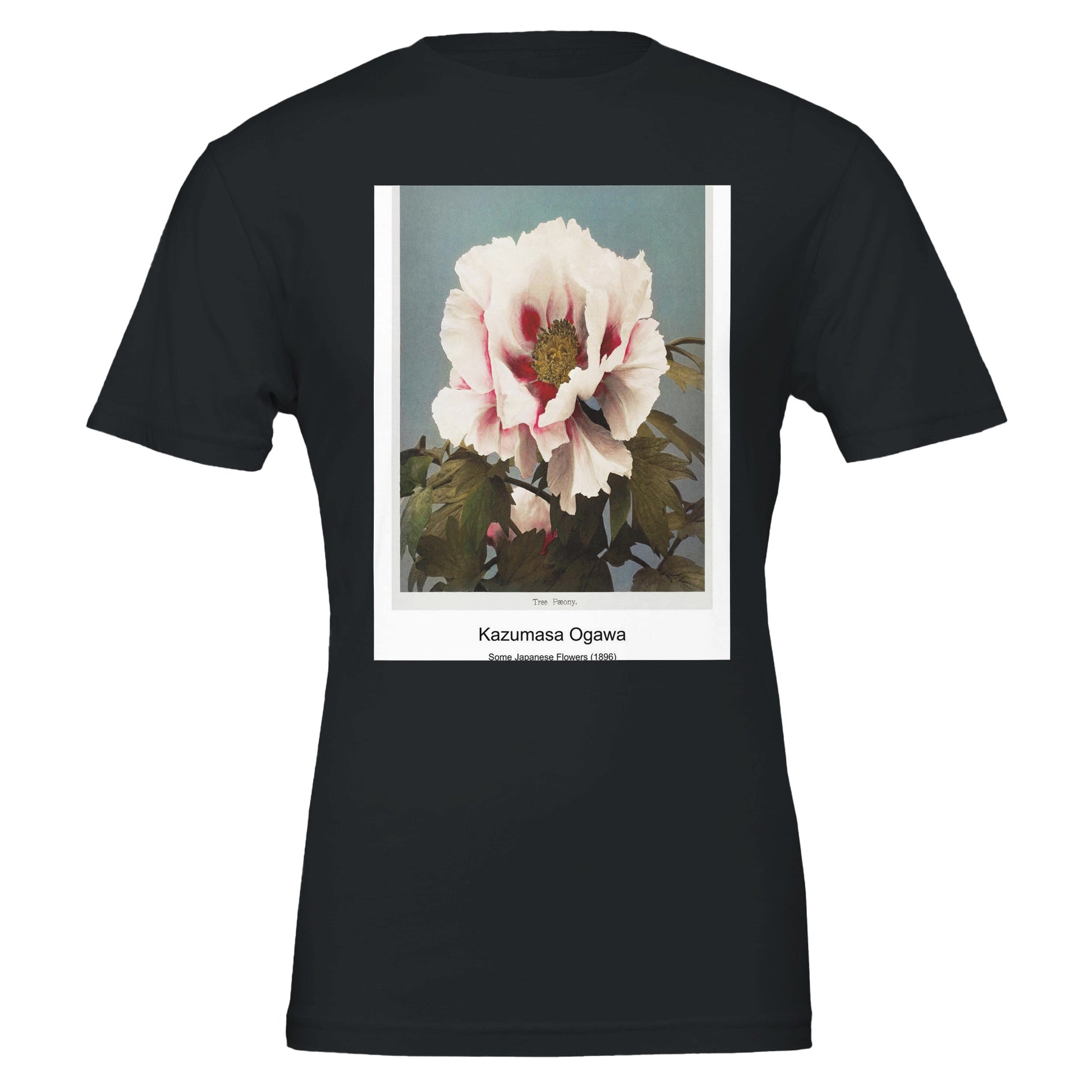 3dad4590-8af0-4664-ac35-0b7861438492