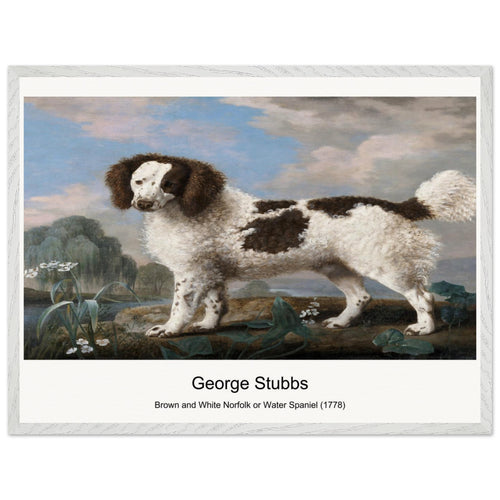 Brown and White Norfolk or Water Spaniel (1778) by George Stubbs. Archival Print on Museum Quality Matte Paper. Premium Wood Framed Wall Art. Optimised Aspect Ratio.