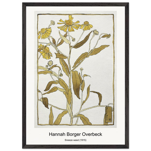 Sneeze weed (1915) by Hannah Borger Overbeck. Archival Print on Museum Quality Matte Paper. Premium Wood Framed Wall Art. Original Aspect Ratio