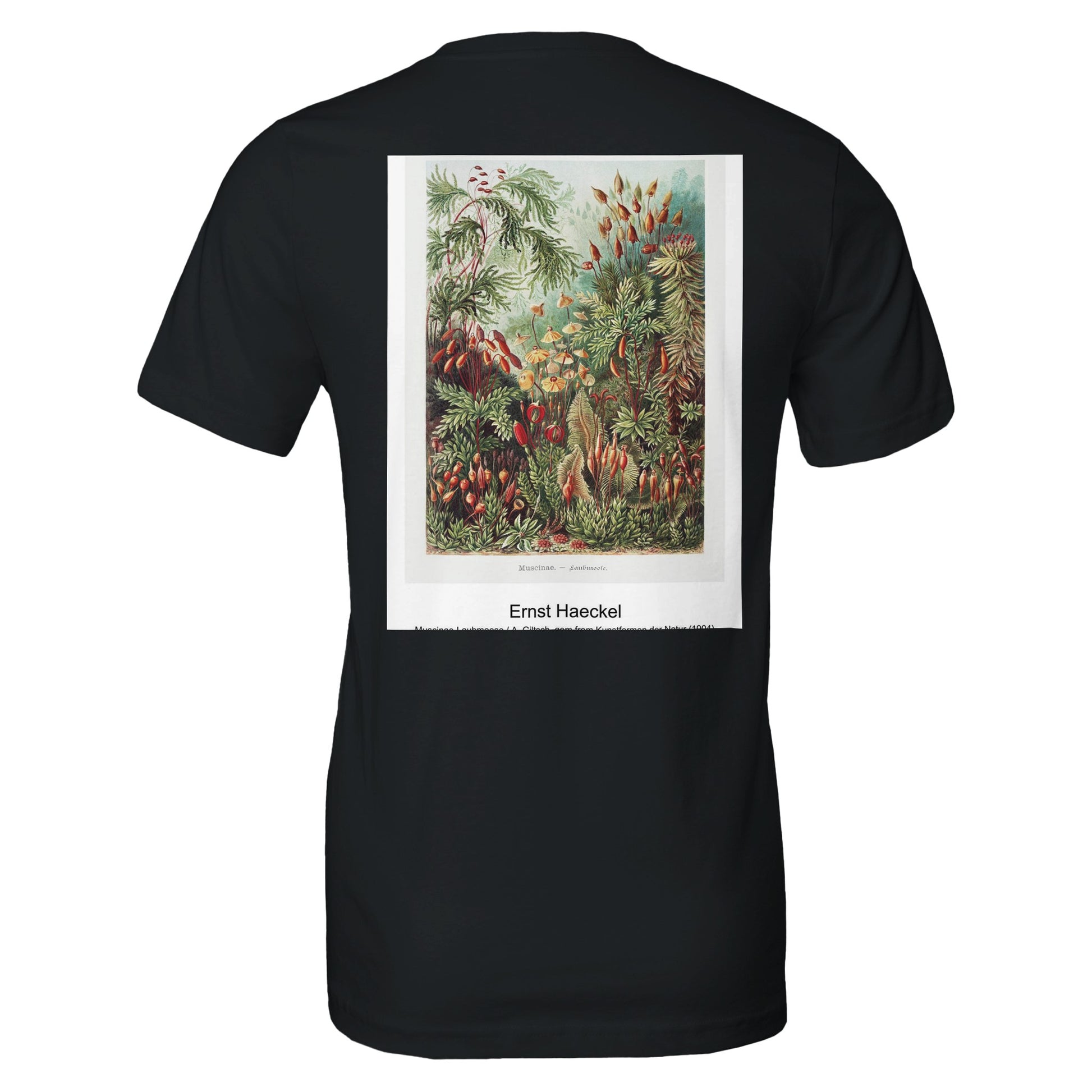 3f2c22ea-16cc-4eb2-99ce-b06ac3f39e04