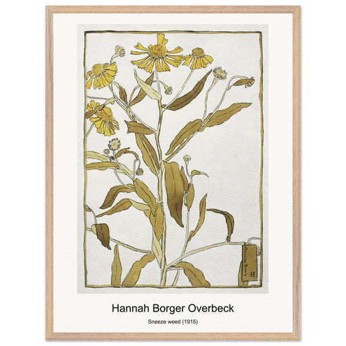 Sneeze weed (1915) by Hannah Borger Overbeck. Archival Print on Museum Quality Matte Paper. Premium Wood Framed Wall Art. Optimised Aspect Ratio.