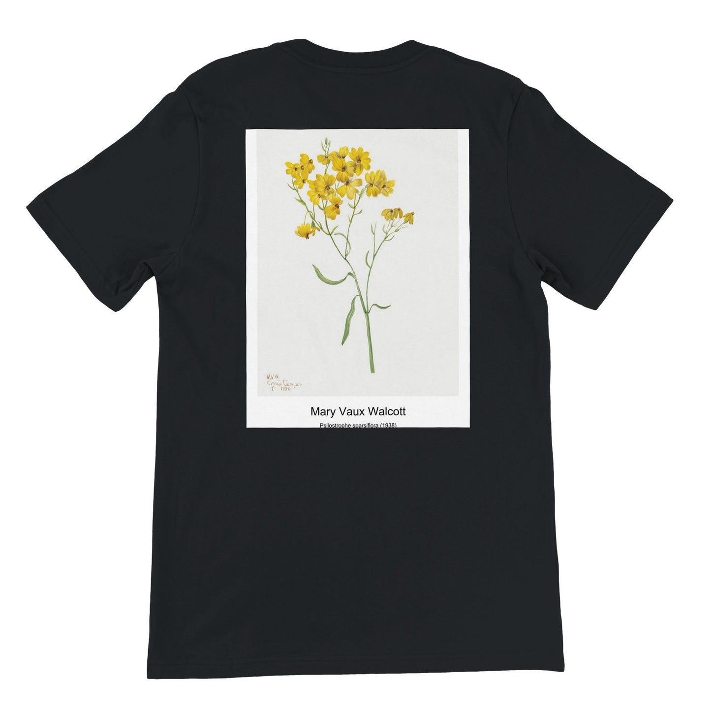 40eed367-bacf-41e9-acbb-f0febac6432b