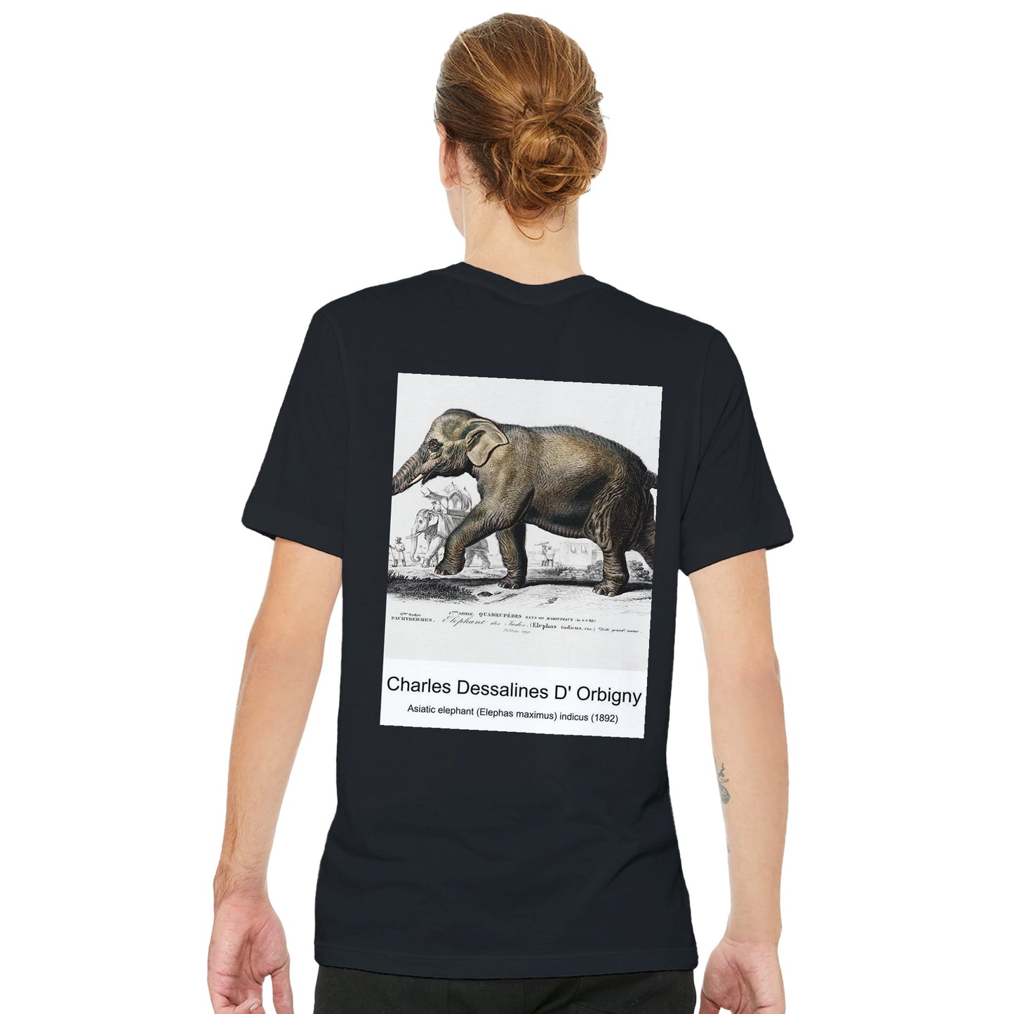 41901b23-d8d4-477c-a8eb-7446a77805ae