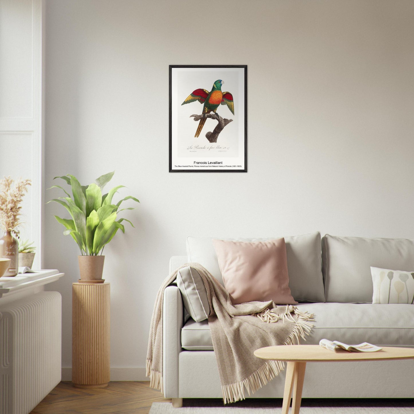 41e9c8db-c370-4288-98c0-56a959d847c8