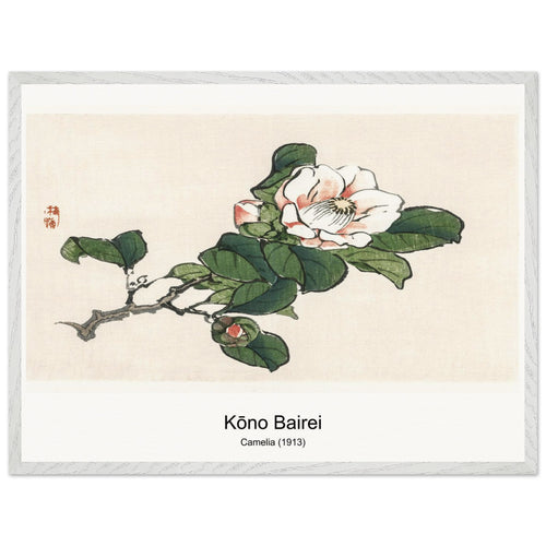 Camelia (1913) by Kōno Bairei. Archival Print on Museum Quality Matte Paper. Premium Wood Framed Wall Art. Optimised Aspect Ratio.