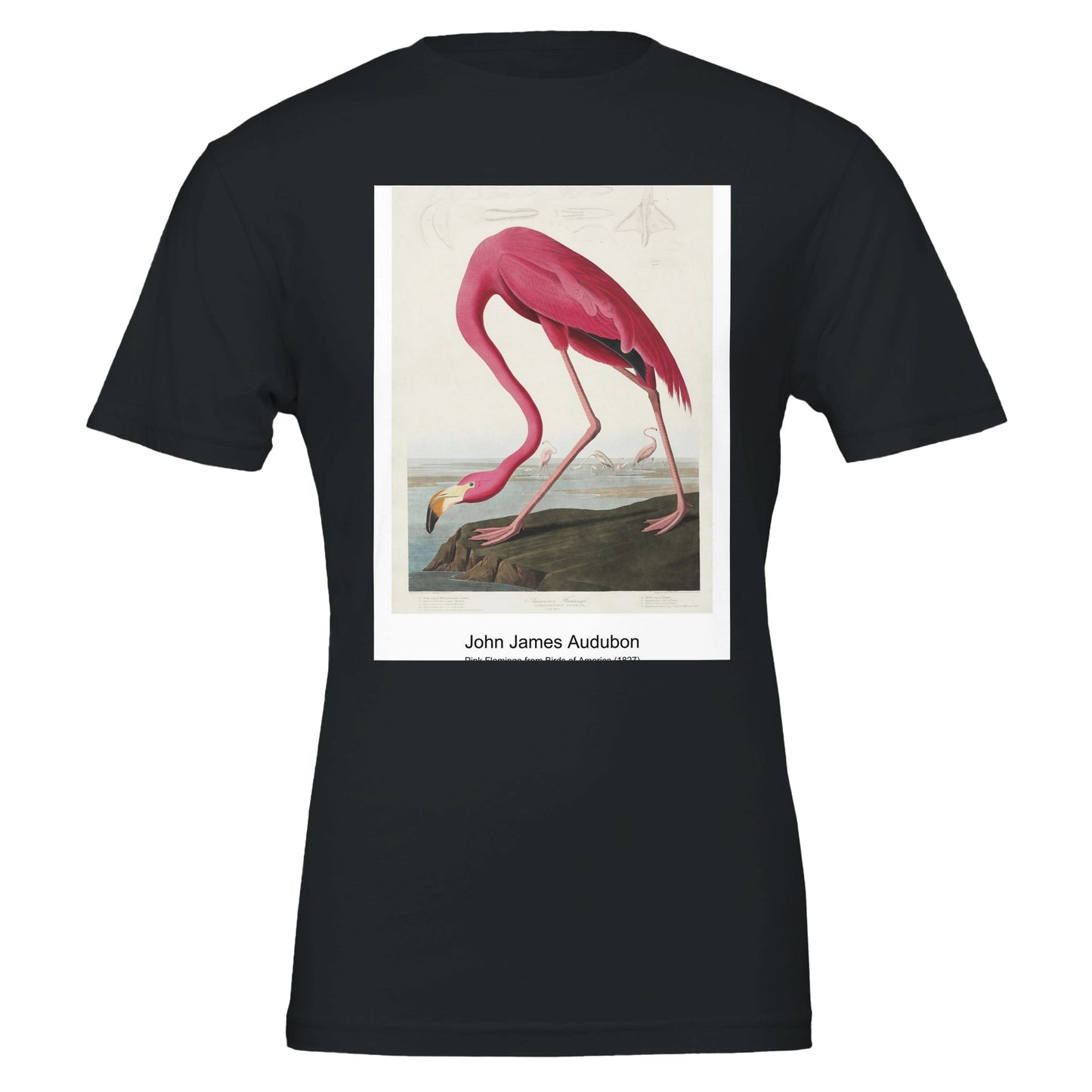 42529192-2224-4513-a8ff-7e6f56477e6c