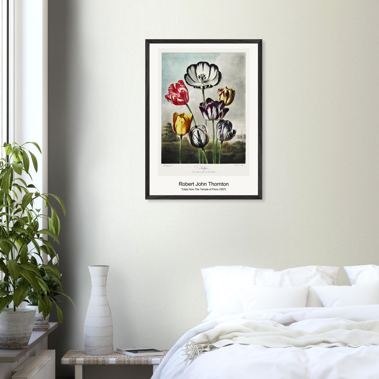 42a5dccd-05b2-4833-98dd-0e9e5cf36ef6