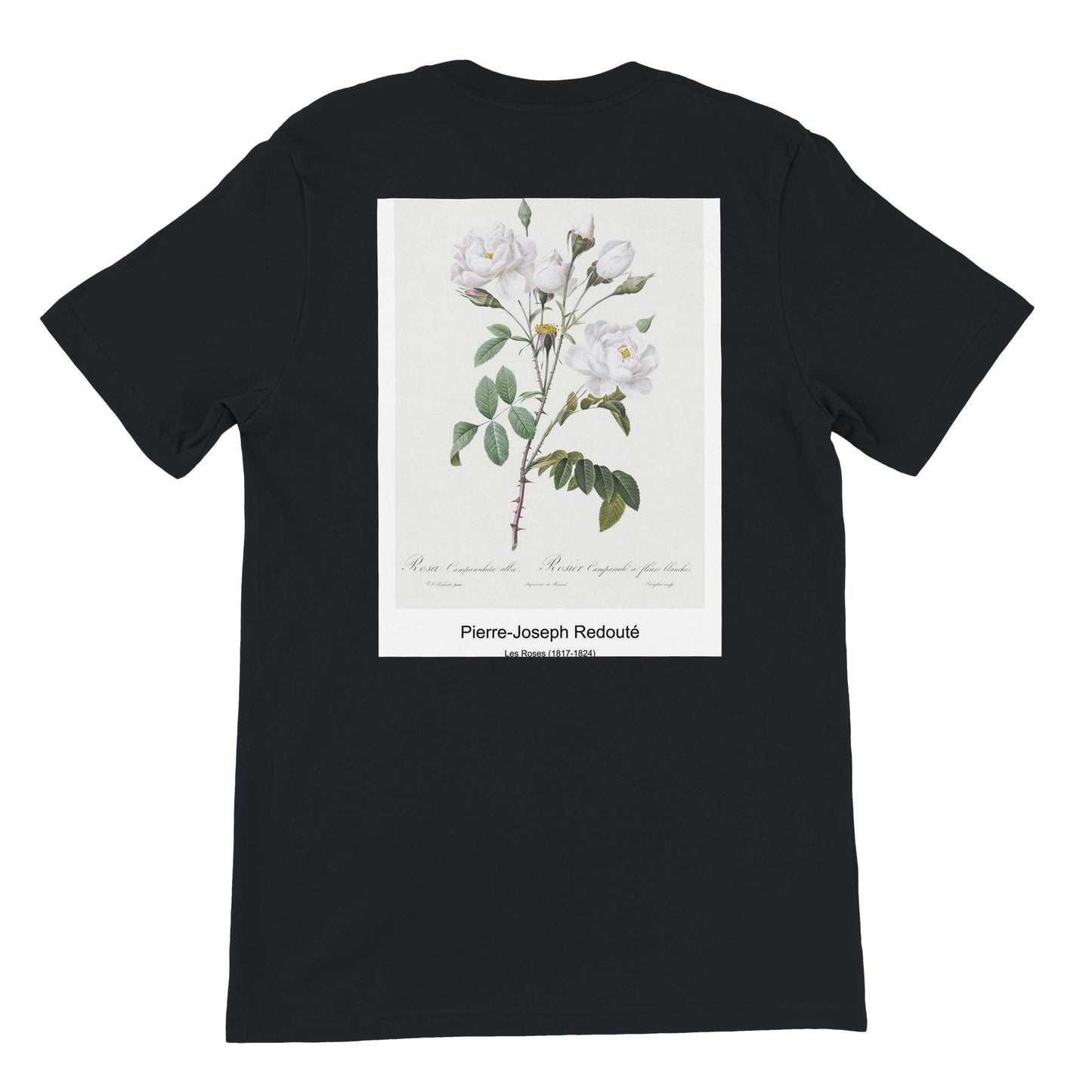 42e2fcd6-c6d9-4722-90d6-9a2c76c64db6