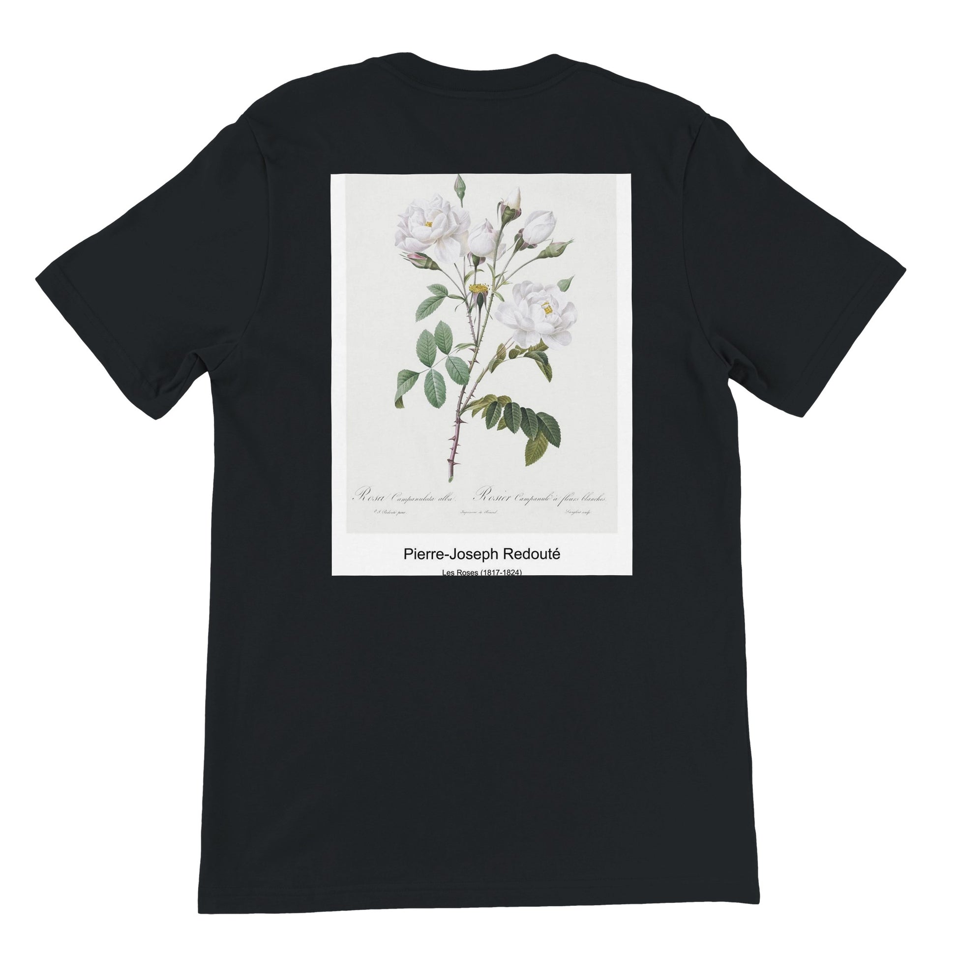 42e2fcd6-c6d9-4722-90d6-9a2c76c64db6