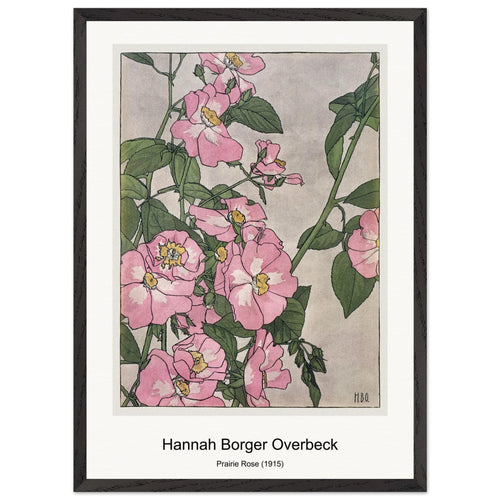 Prairie Rose (1915) by Hannah Borger Overbeck. Archival Print on Museum Quality Matte Paper. Premium Wood Framed Wall Art. Original Aspect Ratio