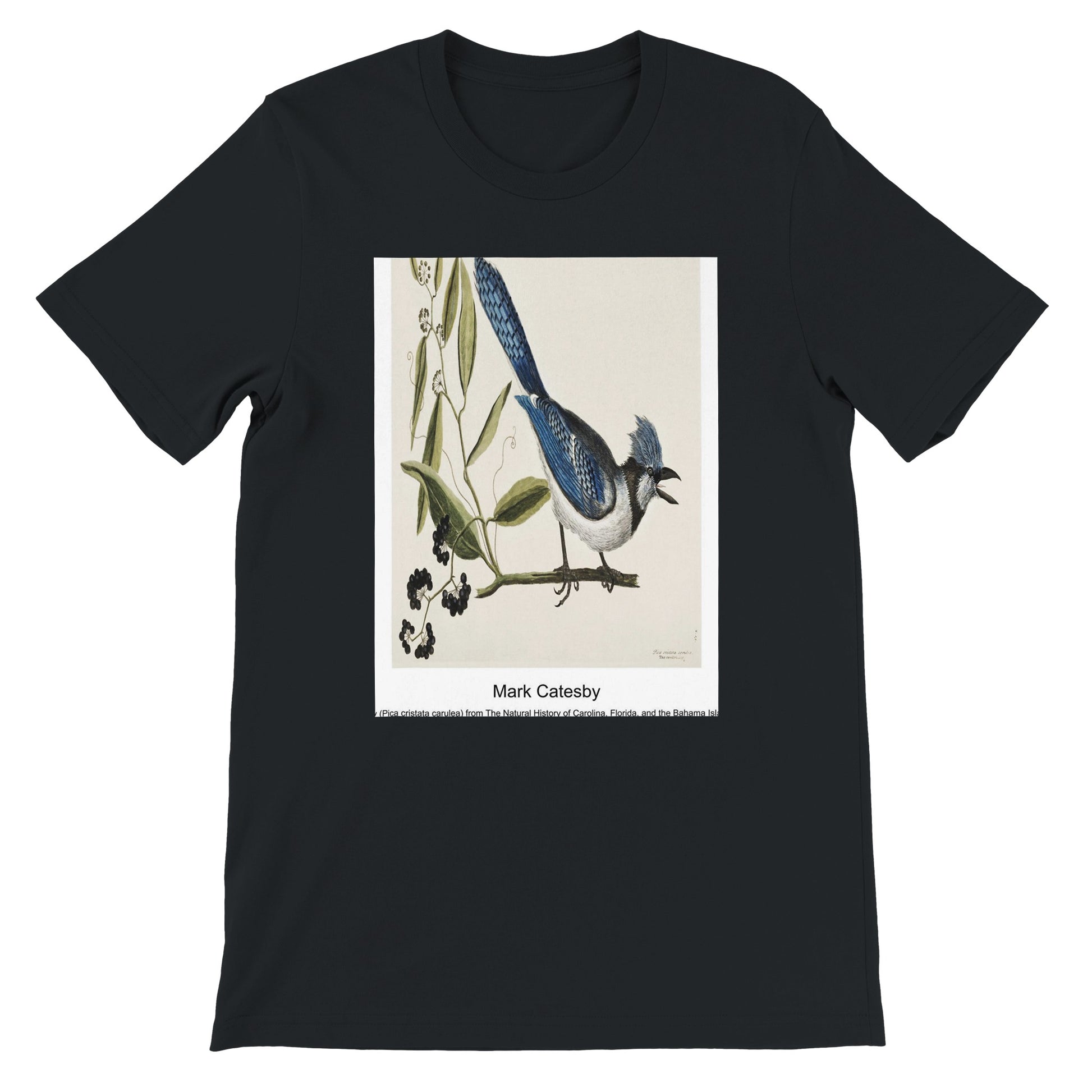 43a36d90-77a9-4e9e-a01a-7fb0d92d658a