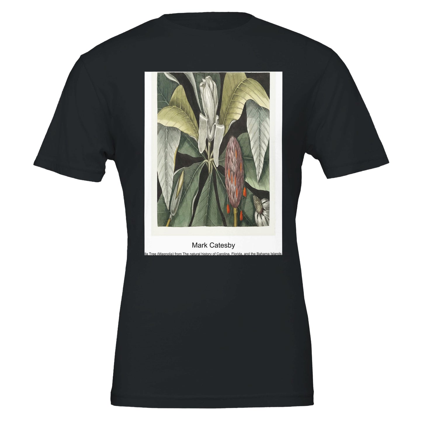 43a7693b-5942-4bce-8b73-f7ae432431ac