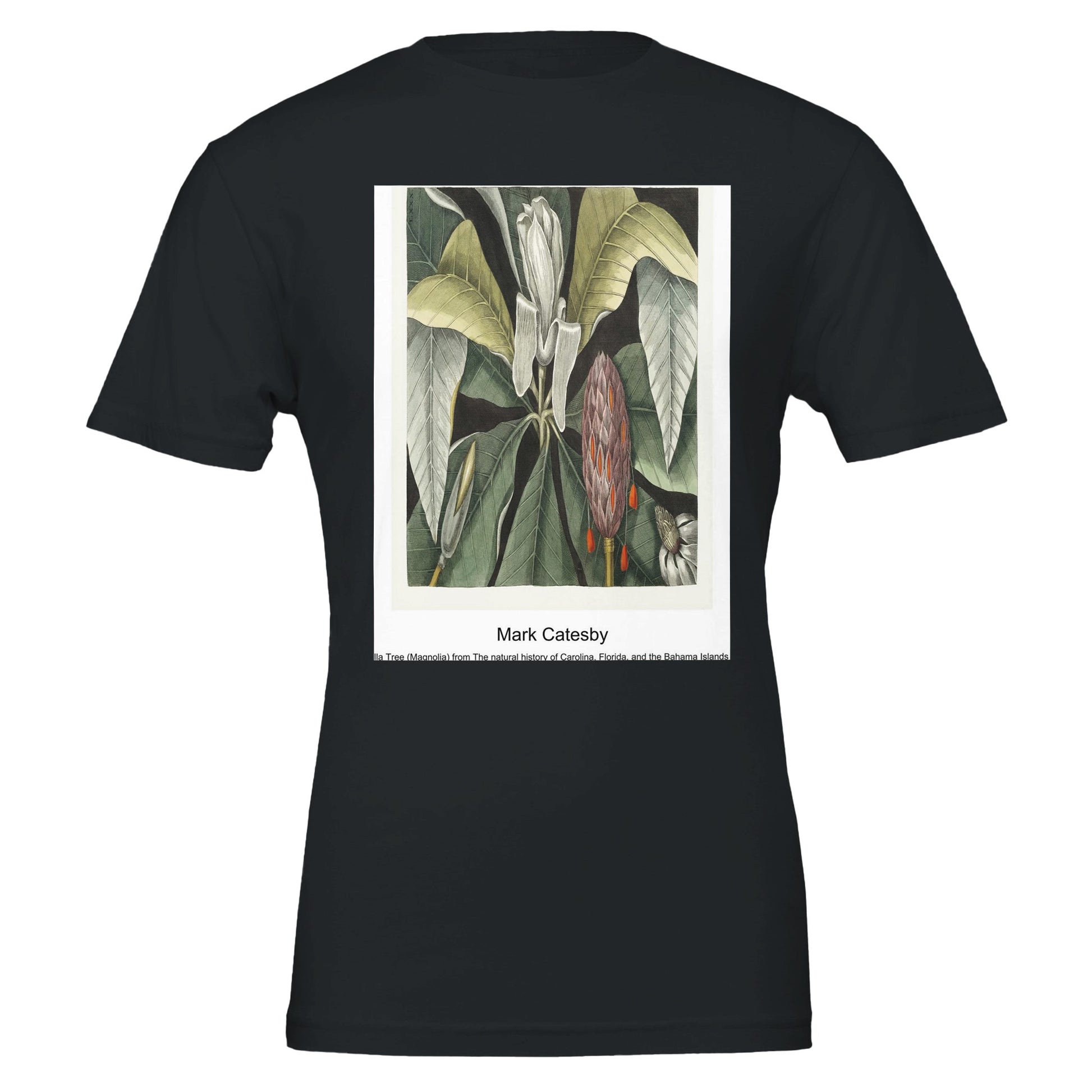 43a7693b-5942-4bce-8b73-f7ae432431ac