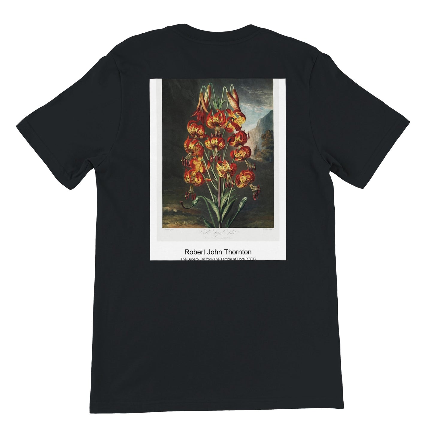 43da82c4-ee4f-4e84-828e-f248393c6868