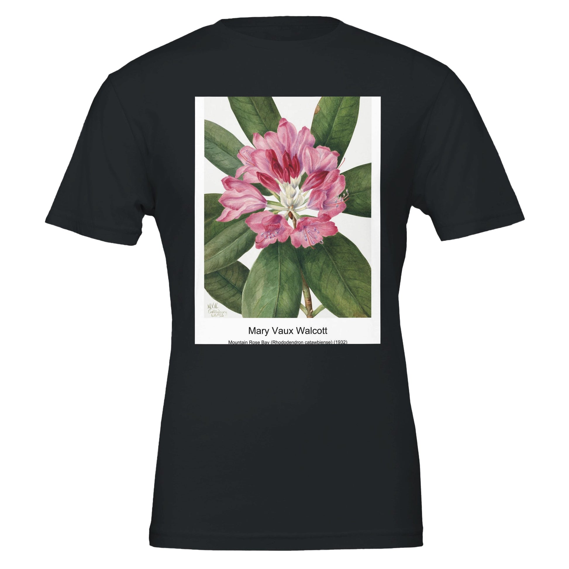 43fe6931-4952-4239-854d-ff2dd0cb3275