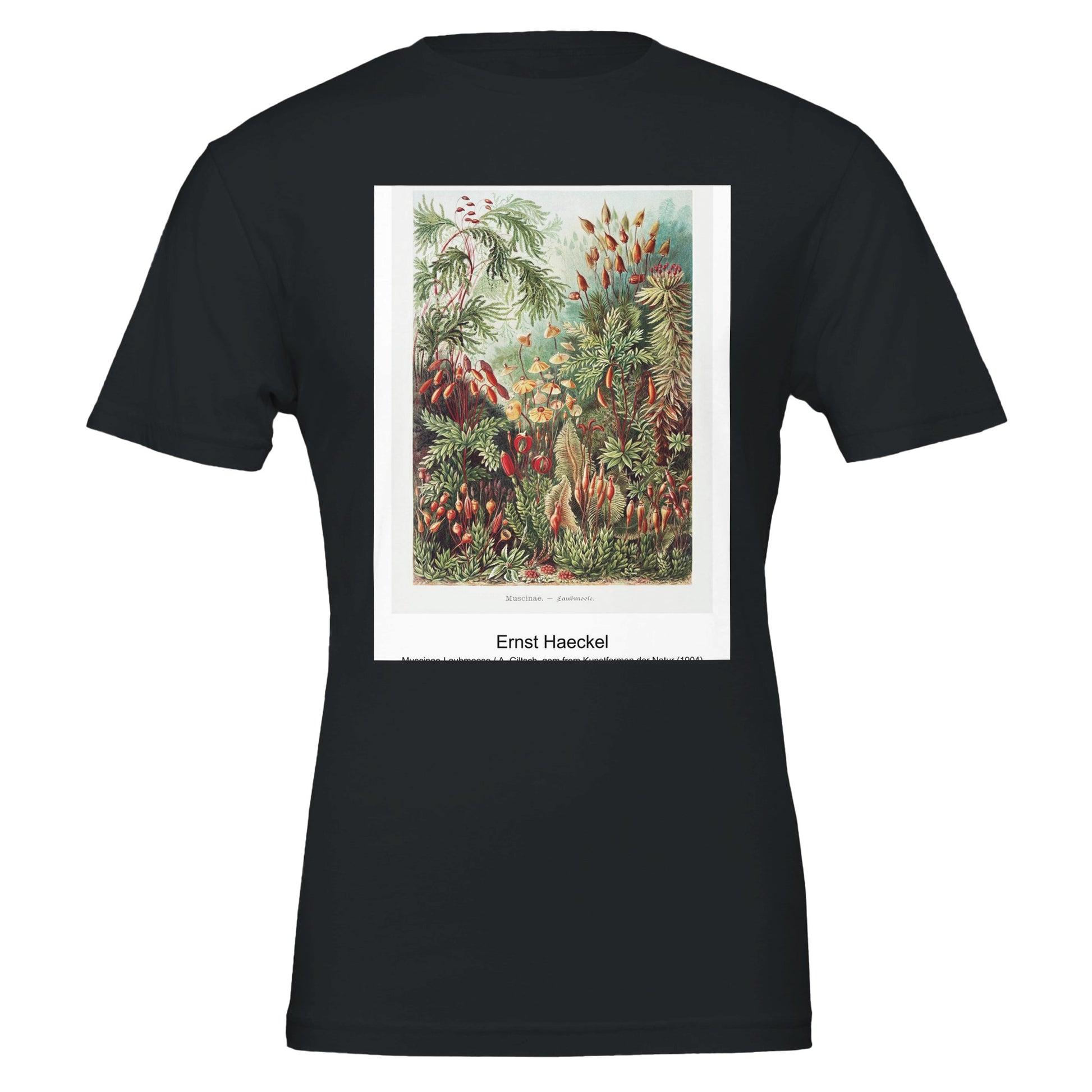 44ad669e-733f-46e2-9bf1-b3dc61c81969