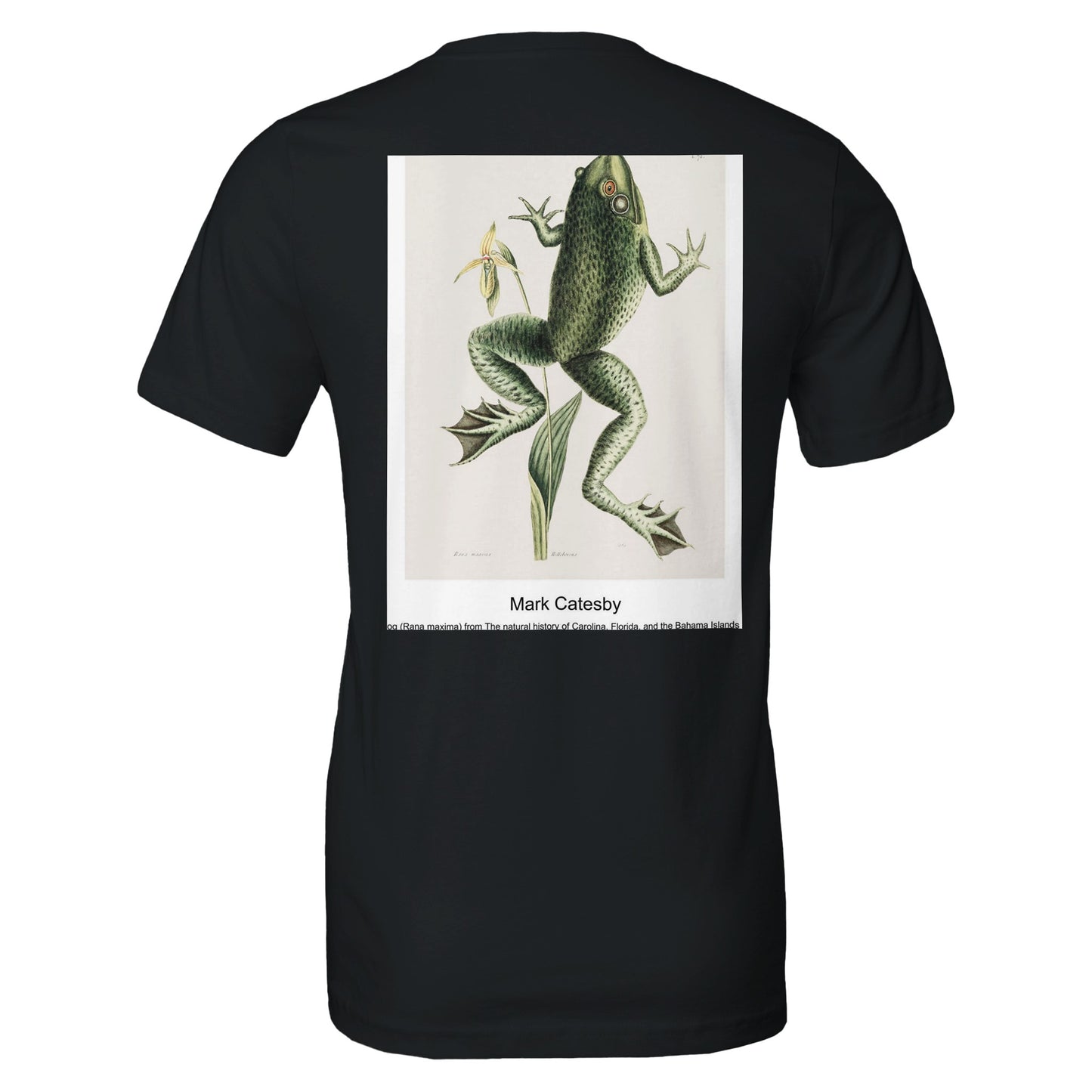 44bed54e-5f31-4be7-accd-cf12db8b8823