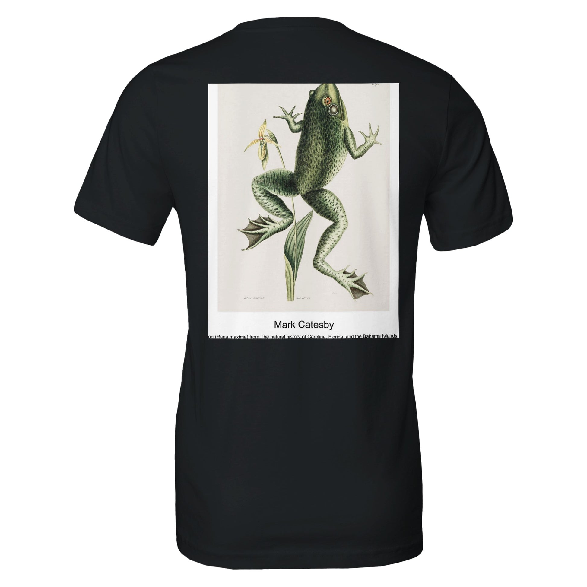 44bed54e-5f31-4be7-accd-cf12db8b8823