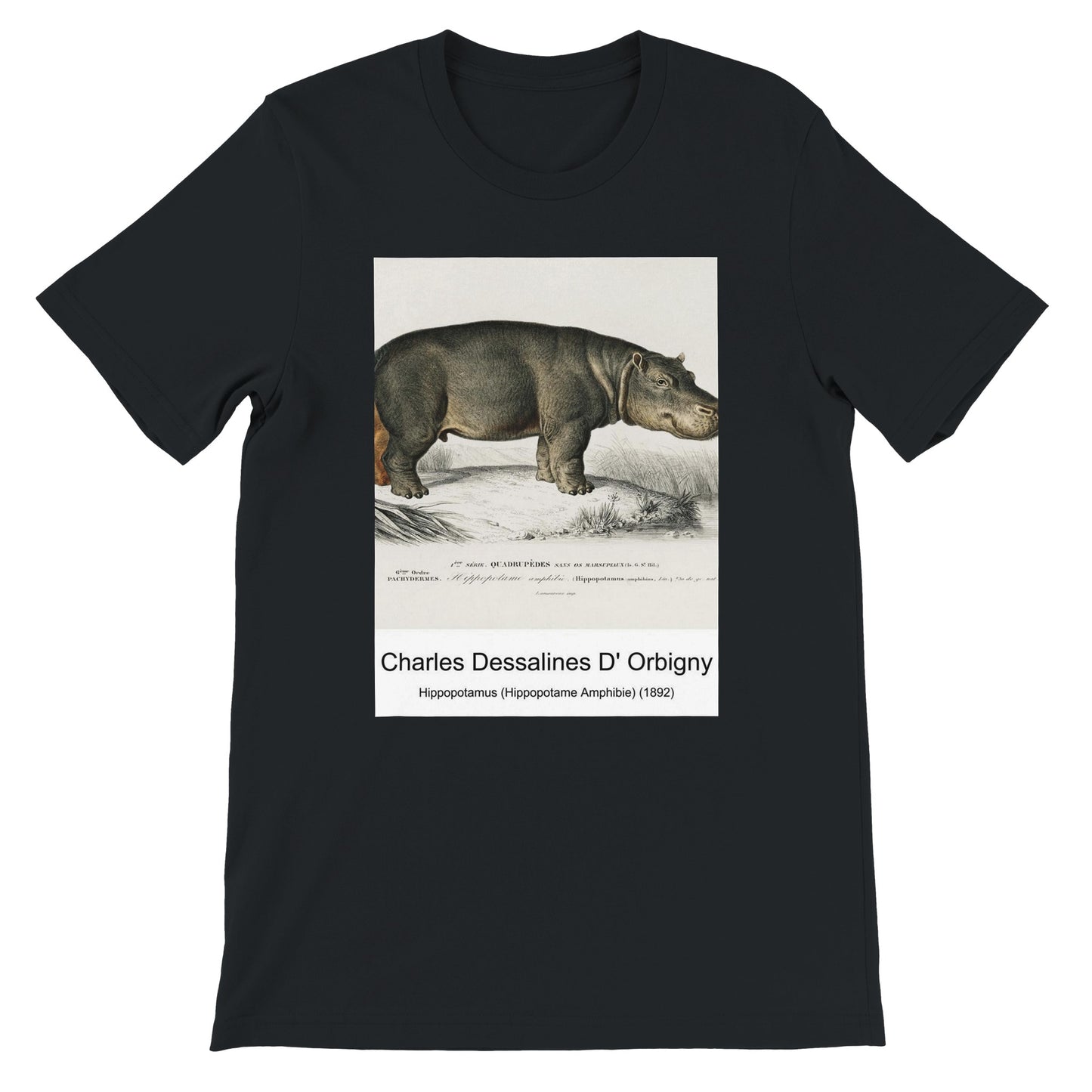 44d08a4c-c010-4e7d-acbb-c182b6fe34bb