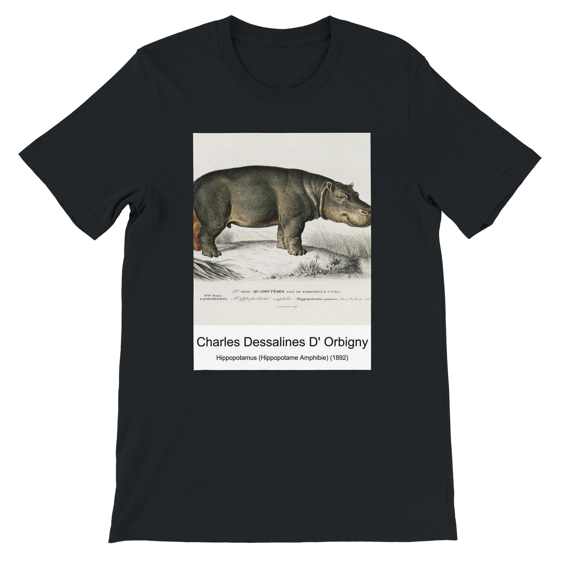 44d08a4c-c010-4e7d-acbb-c182b6fe34bb