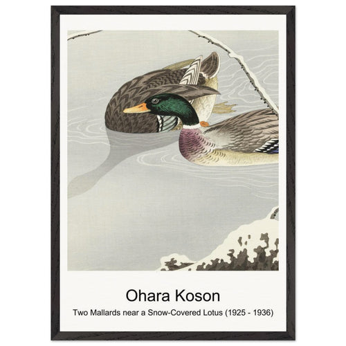 Lilies (1912 - 1930) by Ohara Koson. Archival Print on Museum Quality Matte Paper. Premium Wood Framed Wall Art. Optimised Aspect Ratio.