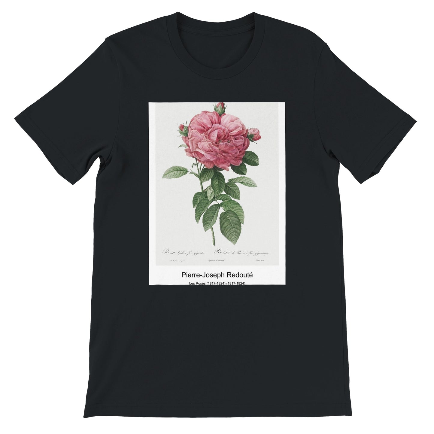 44ea5cfe-f7da-403b-b55d-d3ac0dbc30e5