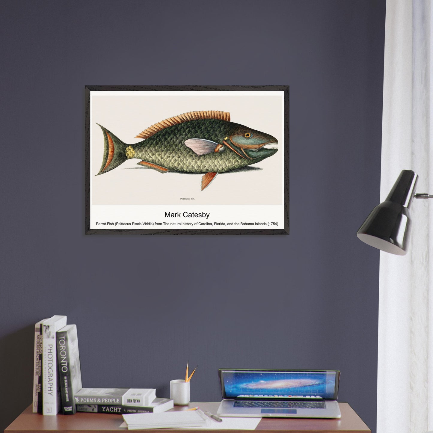 450b9d3a-73f5-446e-81ec-f305369bdf81