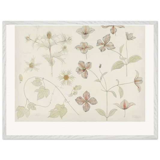 45fa9da4-9d00-43fa-b5a4-8debd165004e