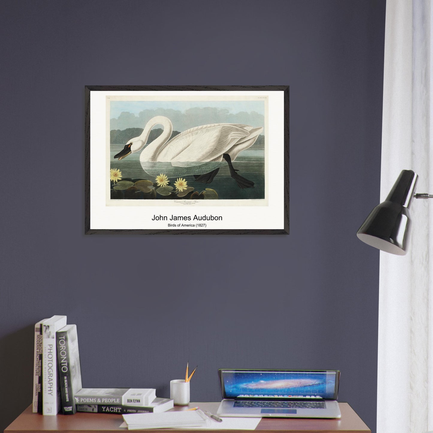 46ad7bef-b8b4-4d62-b42c-44de5c2d5ab1