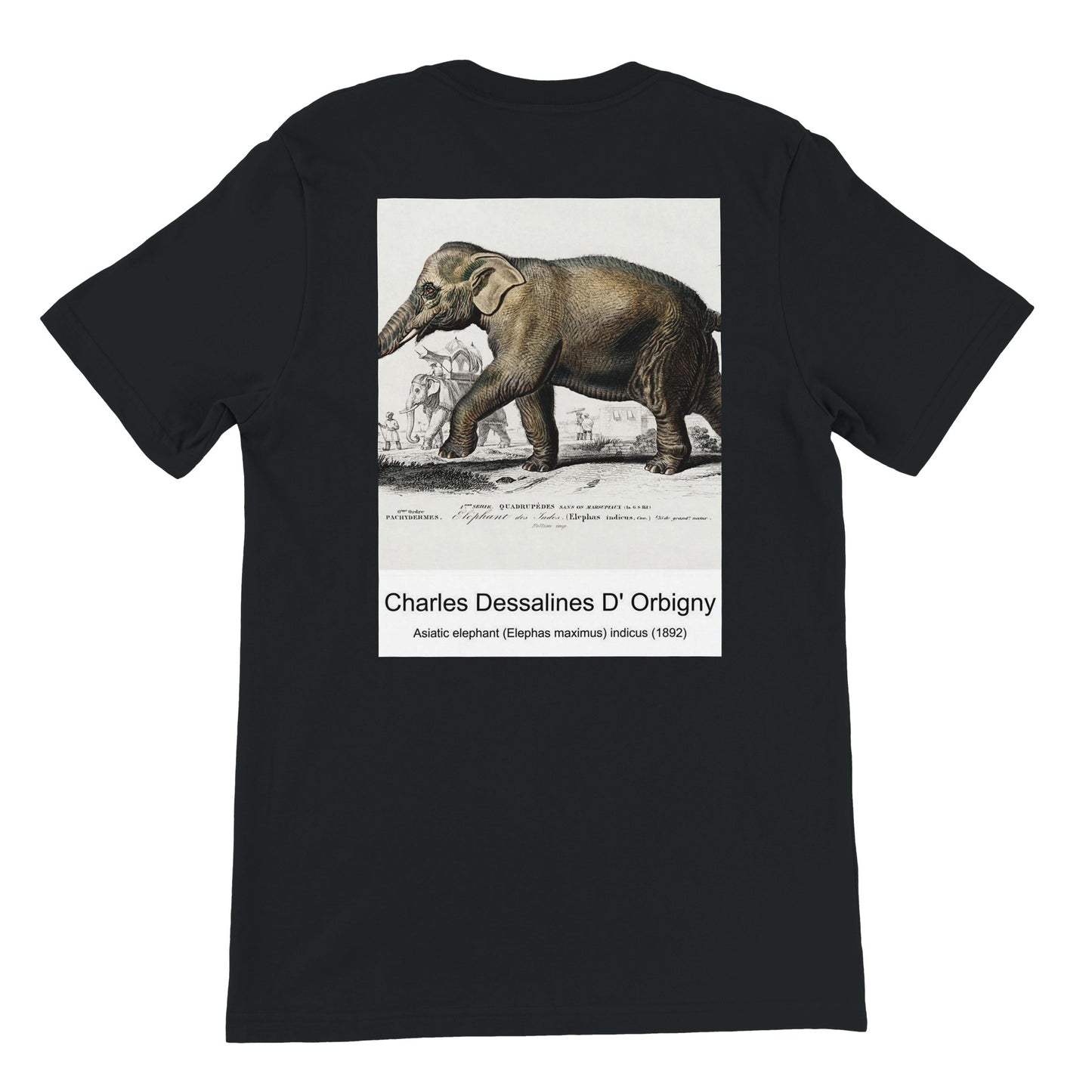 46d2e57a-894a-4d12-b879-1162ec439e6d