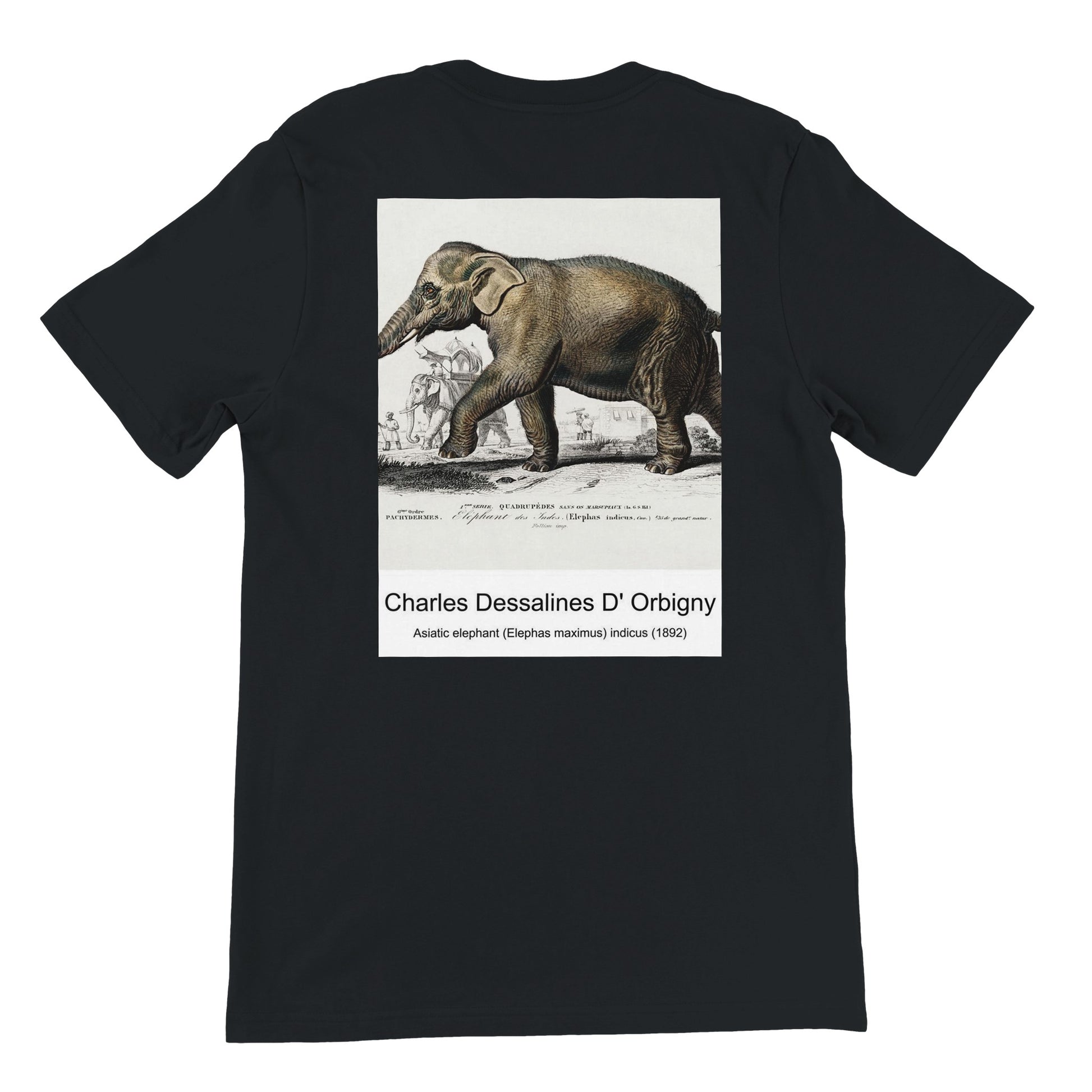 46d2e57a-894a-4d12-b879-1162ec439e6d