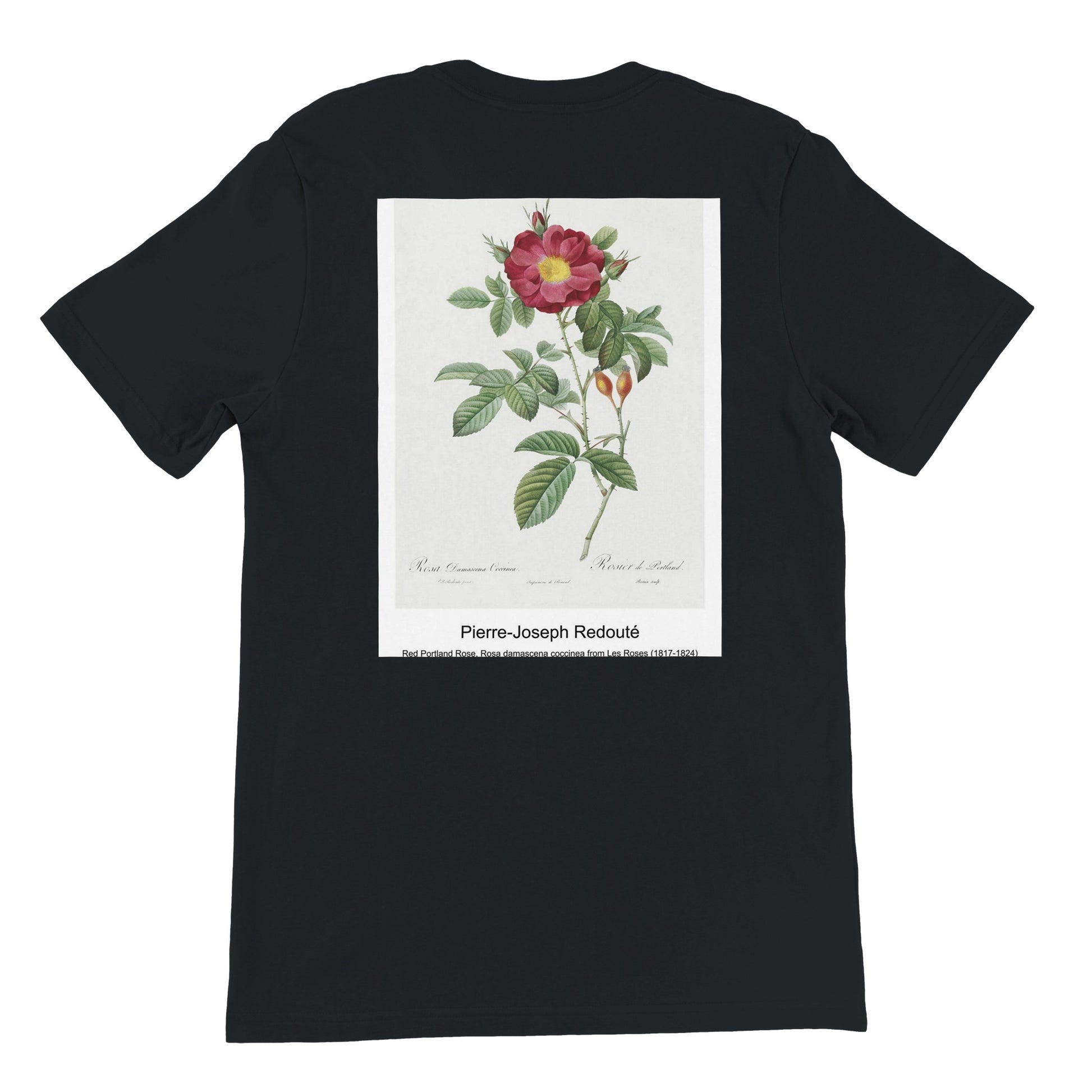 46e706b2-2f06-4eaa-a666-6a3d2151a4a6