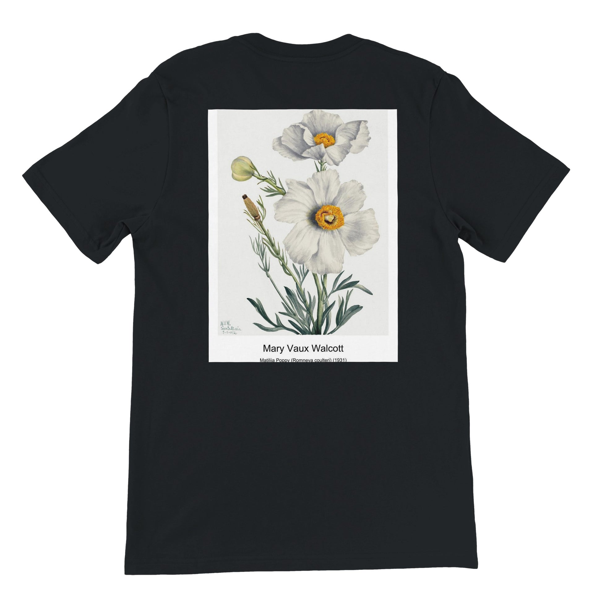 480806df-8bba-46be-92b4-81b329fd26a4