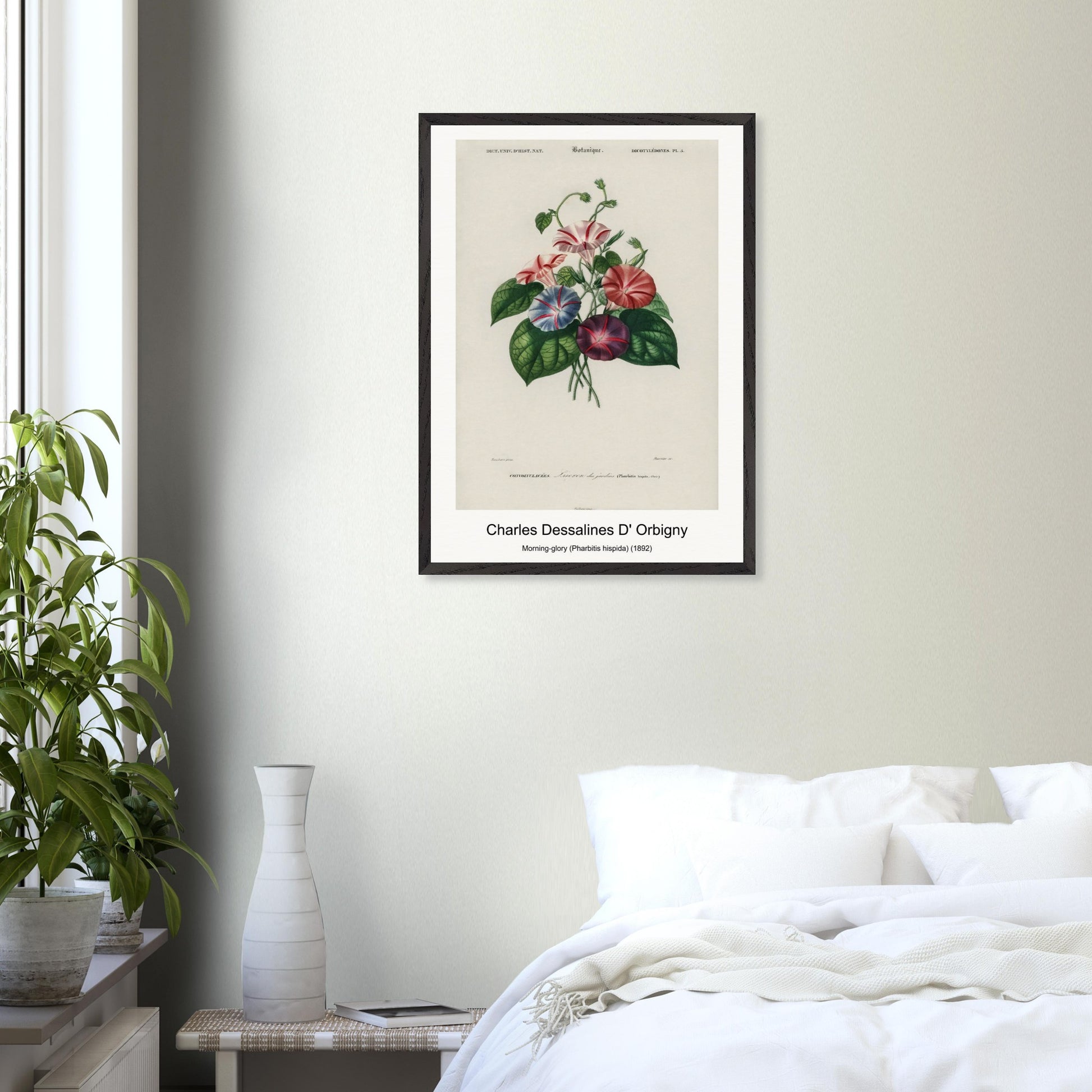 487e0f76-7da8-4504-aaab-0f29c1971afc