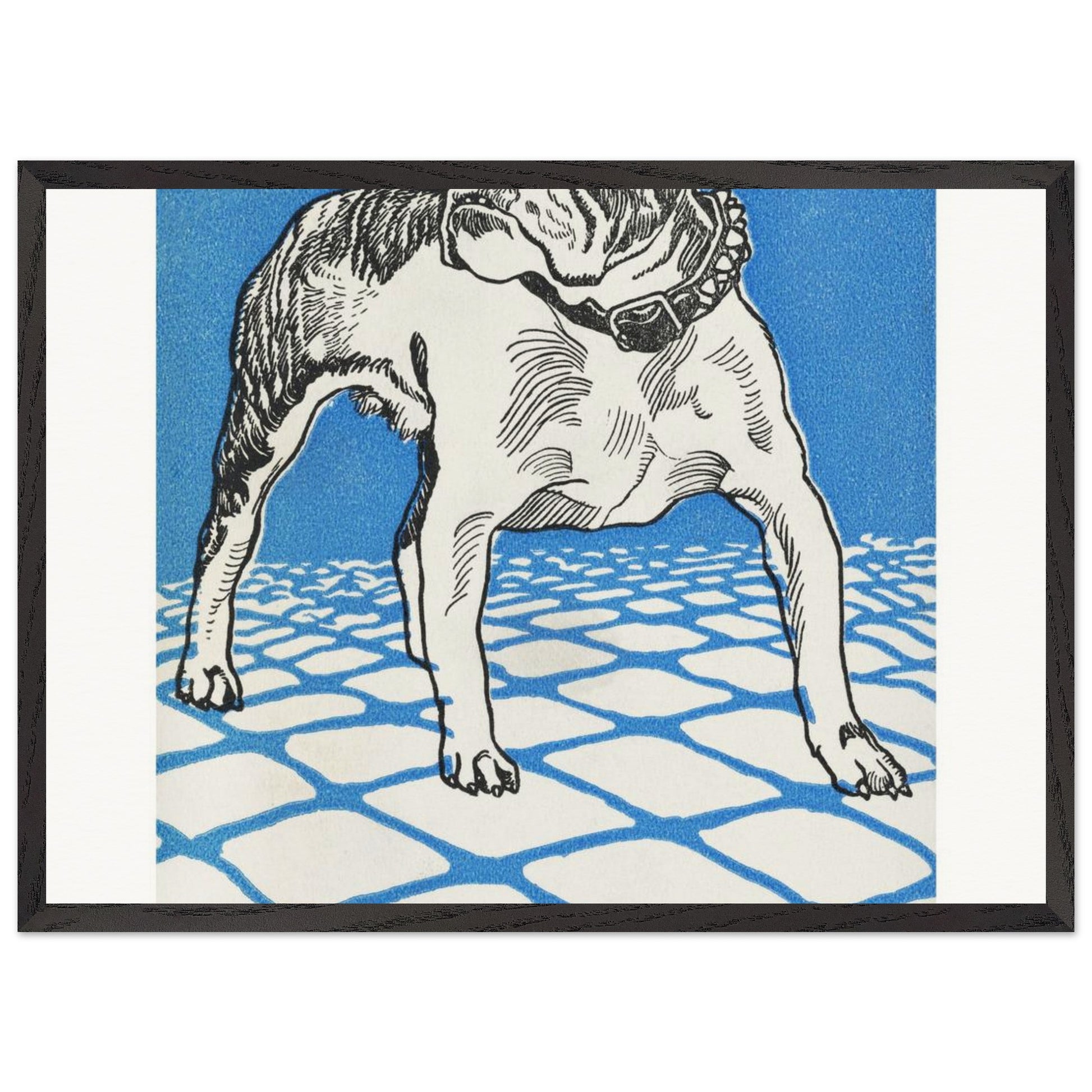 4955d9d4-9fb1-4c16-b1a5-016828c882af