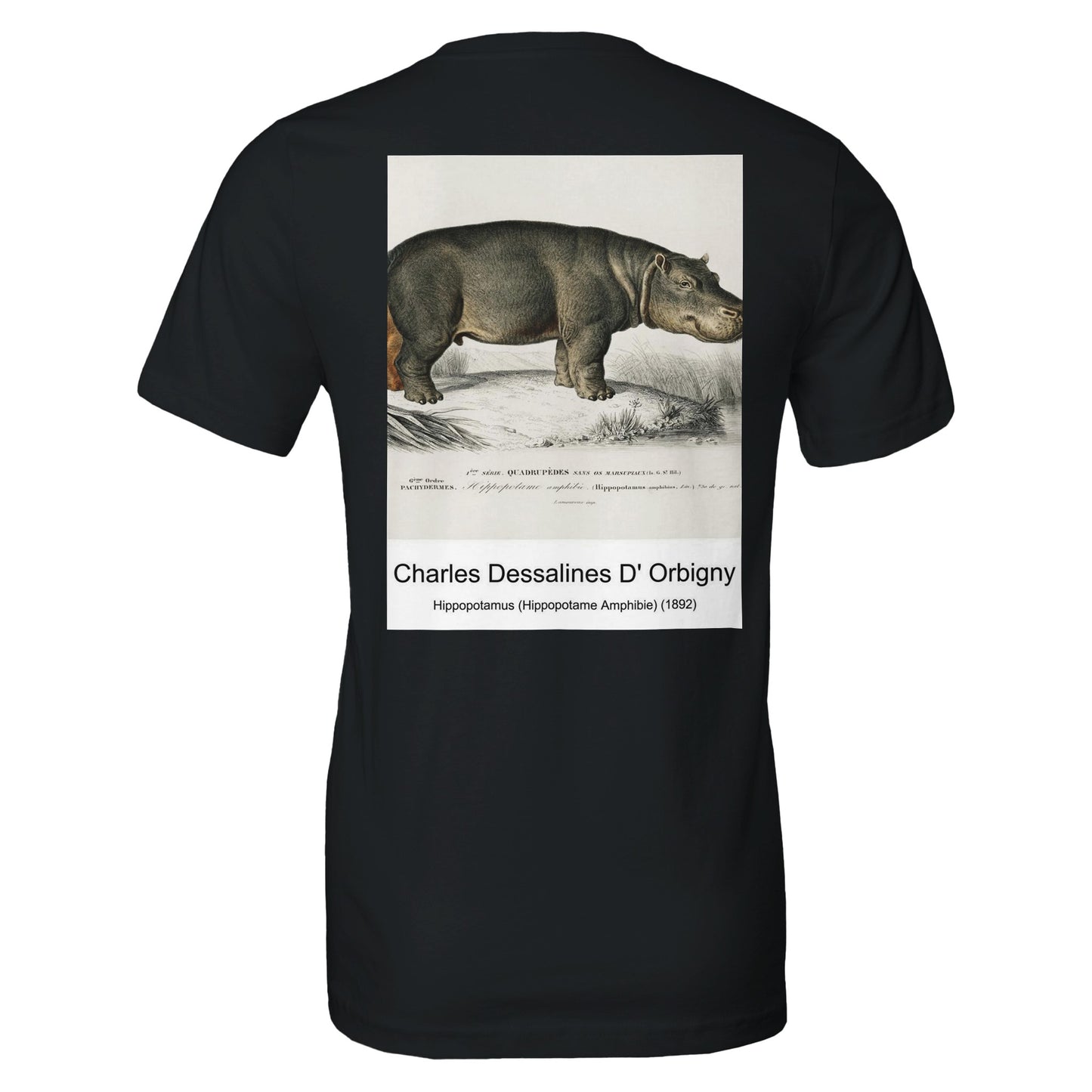 495e028c-25e3-44a6-b9e2-04f80cb58c1a