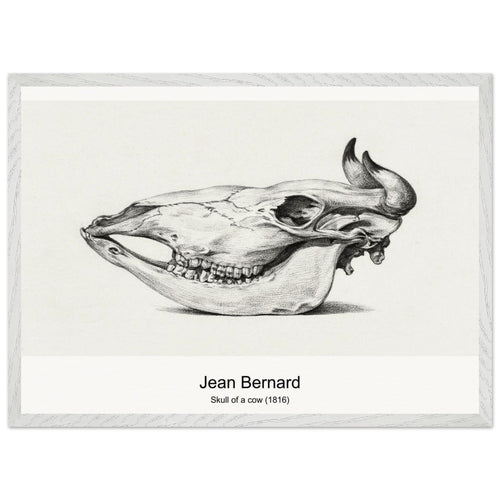 Skull of a cow (1816) by Jean Bernard. Archival Print on Museum Quality Matte Paper. Premium Wood Framed Wall Art. Optimised Aspect Ratio.