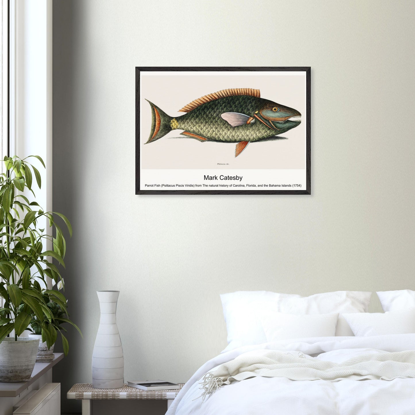 4a59c737-36d8-43e1-b58d-ccad4be5fb46